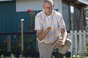 Aunque no se ha comprobado, algunas personas creen que las verduras solanáceas, que incluyen los tomates, pimientos y patatas blancas, desencadenan inflamación y dolor articular.