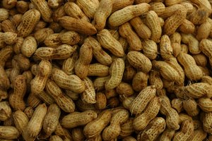 Si eres alérgico al cacahuete no puedes tomar Pharmaton.