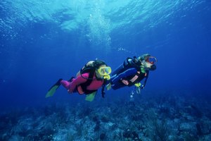 El buceo te permite descubrir un mundo nuevo bajo el agua.