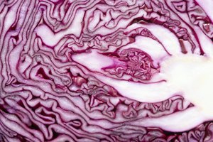 Toda las coles son buenas para ti, pero la col roja puede tener un valor nutricional extra.