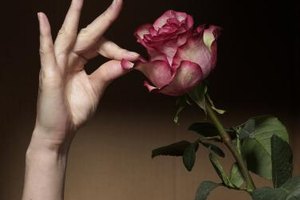 Michael Blann/Digital Vision/Getty Images Adages