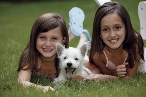 El software de diseño permite manipular fotografías de acuerdo a lo que desees.