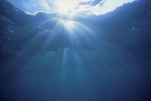 Stockbyte/Stockbyte/Getty Images Environmental science curricula are rooted in the natural sciences, while environmental conservation curricula are somewhat more multidisciplinary.