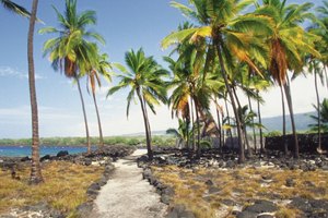 Recorre los senderos de los parques hawaianos.