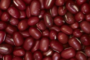 Tanto los azuki como los granos de quinoa son ricos en proteínas y minerales esenciales.