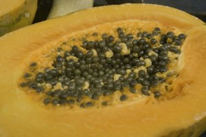 La papaya es una fruta tropical que contiene papaína, una enzima proteolítica que ayuda a la digestión de las proteínas.