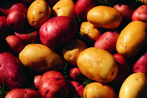 Grande o pequeña, roja o blanca, las papas son un alimento básico de la cocina.