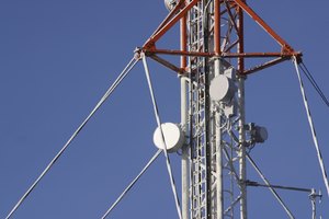 Corta un extremo del cable coaxial con el cortador de alambre.