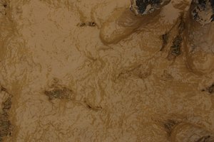 La única desventaja es si la tierra está lodosa.