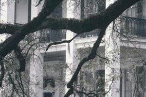 Comstock/Comstock/Getty Images Gothic