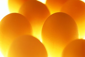 Los huevos están llenos de colesterol.