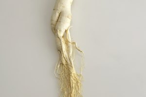 El ginseng ayuda a combatir el estrés y el cansancio.