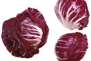 La col roja es una fuente rica de nutrientes y fitoquímicos.