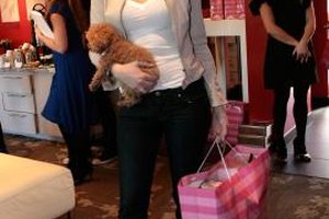 Charley Gallay/Getty Images Entertainment/Getty Images Actress Blake Lively pairs dark wash skinny jeans with a T-shirt and a leather jacket for a casual look.