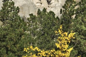 Crooked Creek RV Park se localiza a menos de 10 millas de Mt. Rushmore.