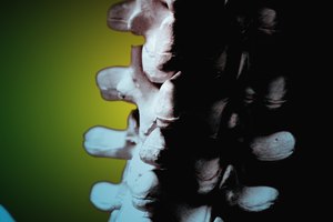 Los nervios de la tercera a la séptima vértebra cervical afectan los hombros, brazos y manos, las señales de los nervios a los órganos, sistemas, músculos y articulaciones deben ser las correctas.