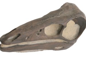 Los dinosaurios son un tópico fascinante para niños de todas las edades.