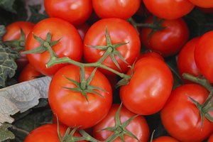 Los tomates son ricos en licopeno, que estimula la piel.