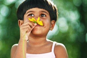 El sentido del olfato de tu niño ha estado desarrollado casi desde su nacimiento. Según la Asociación Americana de Pediatría (American Association of Pediatrics), en el momento en que nace un bebé conoce el olor de su madre y puede distinguirla del olor de papá o de cualquier otra persona.
