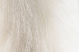 Puedes teñir la piel falsa del color que desees.