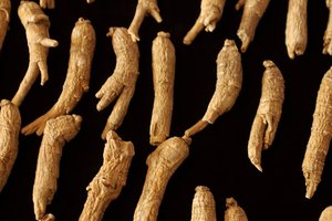Como la cafeína, a veces se usa el ginseng panax para estimular la mente.