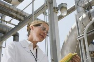 Thinkstock Images/Comstock/Getty Images The climate and biology of the environment is changing rapidly, creating a higher need for people who are educated in environmental science.