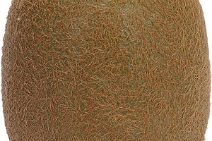 Los kiwis son una fuente rica de vitamina C que puede ayudar a curarte cuando estás enfermo.