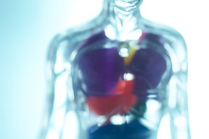 Las infecciones como la hepatitis, la sífilis, la tuberculosis, la malaria, la endocarditis o la mononucleosis pueden causar un agrandamiento del bazo.