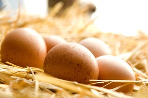 Sustituye los huevos por alternativas vegetarianas.