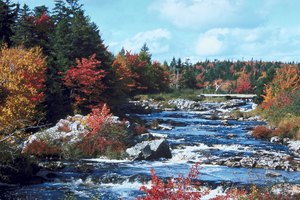 El paisaje de Nueva Escocia se complementa con impresionantes terrenos de senderismo.