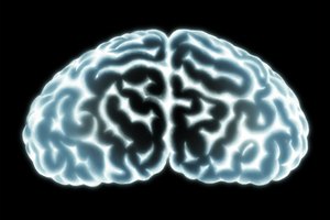 Tu cerebro, al igual que tus músculos, necesita ejercitarse para operar al máximo rendimiento.