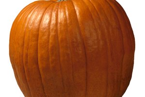 Las calabazas no son sólo para hacer linternas.