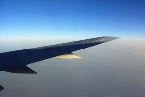 Las alas de los aviones son modeladas en base a las alas de los pájaros.