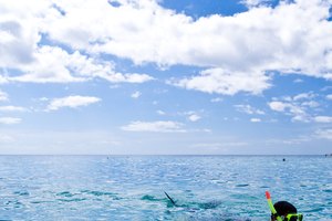 Mete la cabeza en las aguas dominicanas.