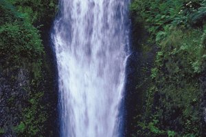 Realiza caminatas a espectaculares cascadas mientras acampas cerca de Helen.