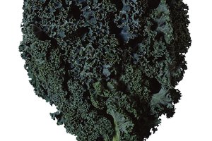 Los vegetales de hoja verde oscura proporcionan nutrientes para mantener una visión saludable.