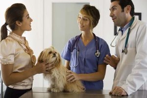 Jupiterimages/Brand X Pictures/Getty Images Hands-on training is one of the most critical components of veterinary education and encompasses working with animals and pet owners.