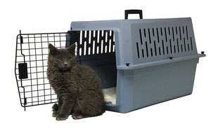 Una jaula mantendrá a tu gato seguro durante el vuelo.