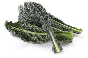 La col rizada es un vegetal de hoja verde.