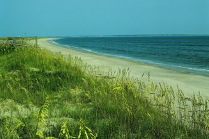 Las islas barrera a lo largo de la costa de North Carolina protegen la parte continental de los huracanes.