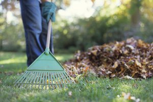 Para muchas personas, la jardinería es un pasatiempo divertido e incluso puede no parecer un entrenamiento.