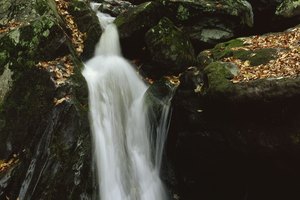 Puedes caminar hacia diferentes cascadas cerca de Roanoke.
