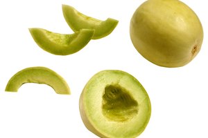 La digestión del melón tuna libera sus nutrientes.