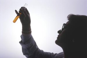Phd research proposal for environmental science