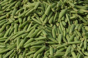 Los guisantes contienen vitamina B.