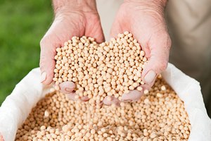Aprende un poco más sobre la proteína de soya.