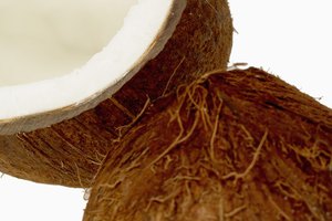 El aceite de coco se elabora secando la pulpa para después presionarla.