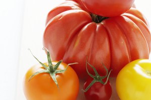 La palabra italiana para tomate es pomodoro, que significa manzana de oro.