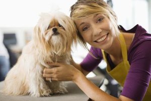 Jupiterimages/Brand X Pictures/Getty Images Many pet stores now work with local shelters to find homes for dogs and cats rather than selling puppies and kittens.