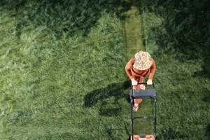Ofrécele cortar el césped durante un mes, o contrata a alguien para que lo haga.